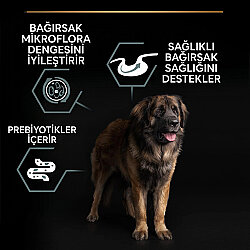 Pro Plan Large Robust Kuzu Etli Büyük Irk Köpek Maması 14 Kg + 3 Adet Pro Plan Konserve 400 Gr - 3