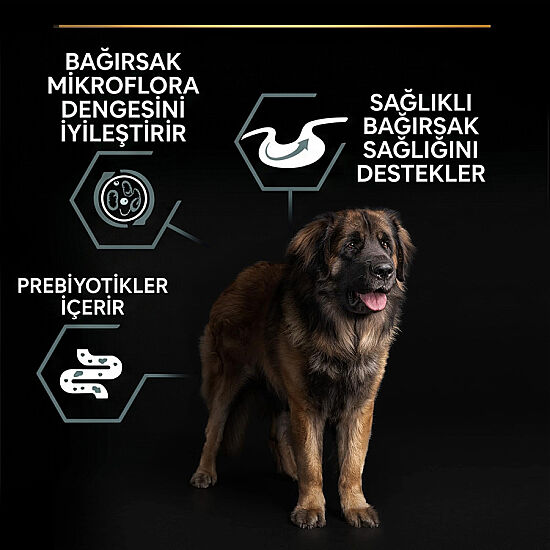 Pro Plan Large Robust Kuzu Etli Büyük Irk Köpek Maması 14 Kg + 3 Adet Pro Plan Konserve 400 Gr - 3