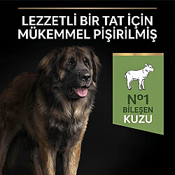 Pro Plan Large Robust Kuzu Etli Büyük Irk Köpek Maması 14 Kg + 3 Adet Pro Plan Konserve 400 Gr - 4