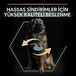 Pro Plan Large Robust Kuzu Etli Büyük Irk Köpek Maması 14 Kg + 3 Adet Pro Plan Konserve 400 Gr - 6