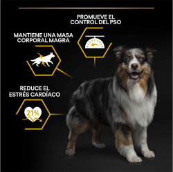 Pro Plan Light Sterilised Balıklı Kısırlaştırılmış Köpek Maması 14 Kg - 4