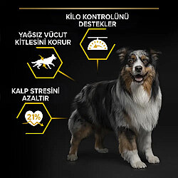 Pro Plan Light Sterilised Balıklı Kısırlaştırılmış Köpek Maması 14 Kg x 2 Adet + 12 Adet Pro Plan Konserve - 4