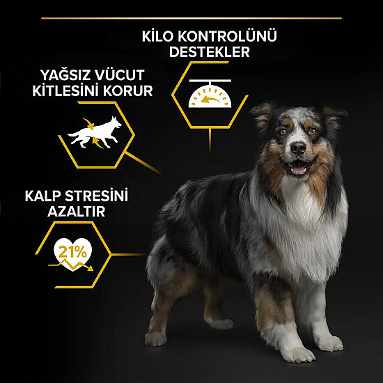 Pro Plan Light Sterilised Balıklı Kısırlaştırılmış Köpek Maması 14 Kg x 2 Adet + 12 Adet Pro Plan Konserve - 4