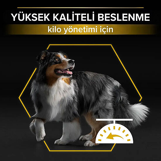Pro Plan Light Sterilised Balıklı Kısırlaştırılmış Köpek Maması 14 Kg x 2 Adet + 12 Adet Pro Plan Konserve - 5