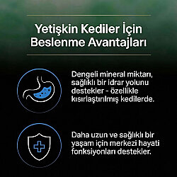 Pro Plan Live Clear Sterilised Hindi Kısırlaştırılmış Kedi Maması 7 Kg + 14 Adet Pro Plan Hairball Pouch - 6