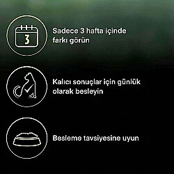 Pro Plan Live Clear Sterilised Somonlu Kısırlaştırılmış Kedi Maması 1,4 Kg + Felix Soup Time Çorba - 4