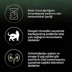 Pro Plan Live Clear Sterilised Somonlu Kısırlaştırılmış Kedi Maması 1,4 Kg + Felix Soup Time Çorba - 8