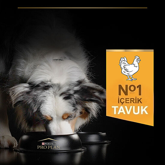 Pro Plan Medium Tavuklu Orta Irk Köpek Maması 14 + 2,5 Kg (Toplam 16,5 Kg) x 2 Adet + 12 Adet Pro Plan Konserve - 4