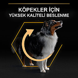Pro Plan Medium Tavuklu Orta Irk Köpek Maması 14 + 2,5 Kg (Toplam 16,5 Kg) x 2 Adet + 12 Adet Pro Plan Konserve - 5