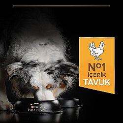 Pro Plan Medium Tavuklu Orta Irk Köpek Maması 14 + 2,5 Kg (Toplam 16,5 Kg) + 3 Adet Pro Plan Konserve 400 Gr - 4