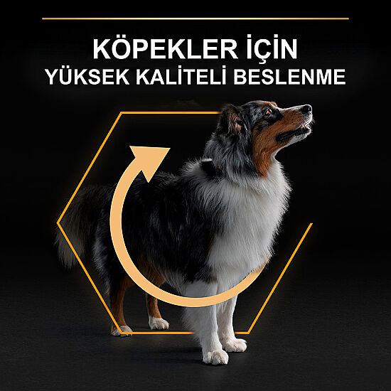 Pro Plan Medium Tavuklu Orta Irk Köpek Maması 14 + 2,5 Kg (Toplam 16,5 Kg) + 3 Adet Pro Plan Konserve 400 Gr - 5