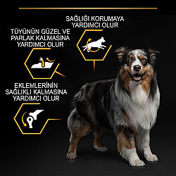 Pro Plan Medium Tavuklu Orta Irk Köpek Maması 14 + 2,5 Kg (Toplam 16,5 Kg) + 3 Adet Pro Plan Konserve 400 Gr - 7