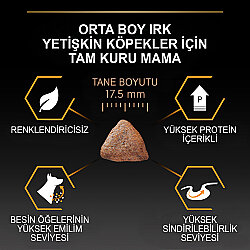 Pro Plan Medium Tavuklu Orta Irk Köpek Maması 14 + 2,5 Kg (Toplam 16,5 Kg) + 3 Adet Pro Plan Konserve 400 Gr - 8