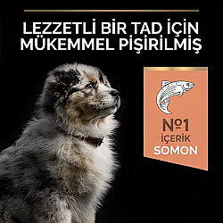 Pro Plan Medium Orta Irk Somon Yavru Köpek Maması 3 Kg + Pro Plan Konserve 400 Gr - 3