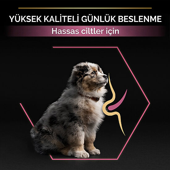 Pro Plan Medium Orta Irk Somon Yavru Köpek Maması 3 Kg + Pro Plan Konserve 400 Gr - 5