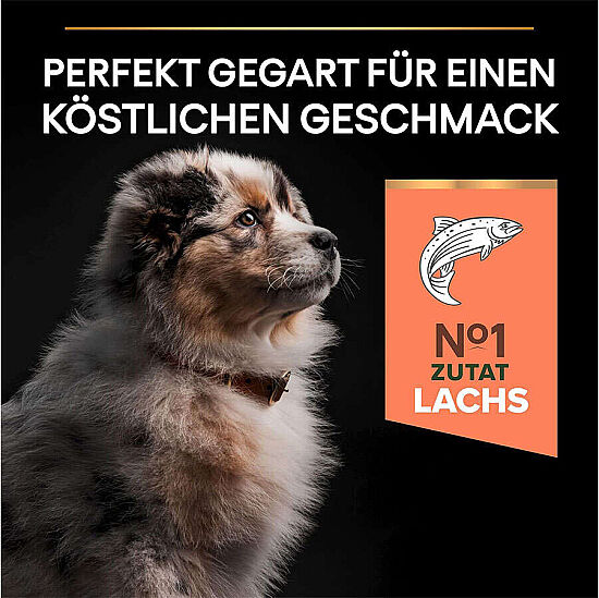 Pro Plan Medium Orta Irk Somon Yavru Köpek Maması 3 Kg x 2 Adet - 3