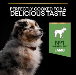 Pro Plan Medium Puppy Kuzu Etli Yavru Köpek Maması 12 Kg - 3