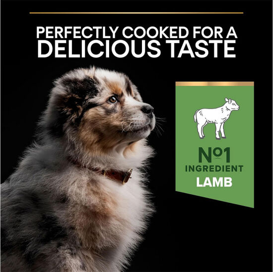 Pro Plan Medium Puppy Kuzu Etli Yavru Köpek Maması 12 Kg - 3