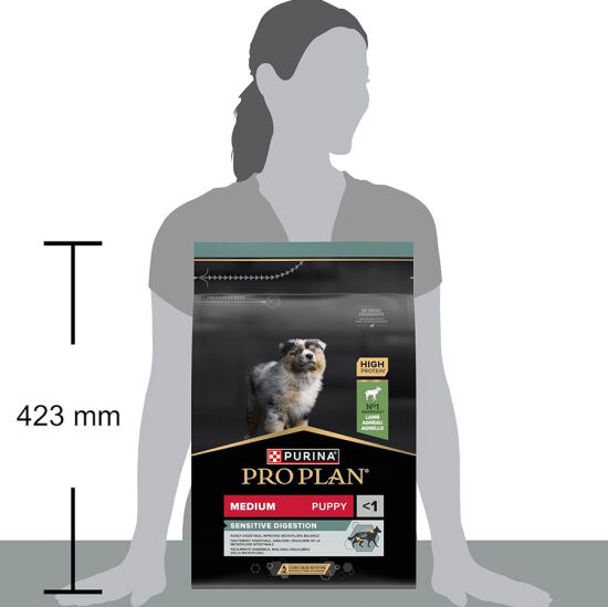 Pro Plan Medium Puppy Kuzu Yavru Köpek Maması 3 Kg + Gimdog 70 Gr Köpek Ödülü - 11