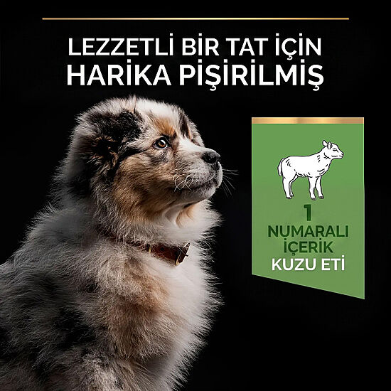 Pro Plan Medium Puppy Kuzu Yavru Köpek Maması 3 Kg + Pro Plan Konserve 400 Gr - 3