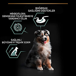 Pro Plan Medium Puppy Kuzu Yavru Köpek Maması 3 Kg + Pro Plan Konserve 400 Gr - 5