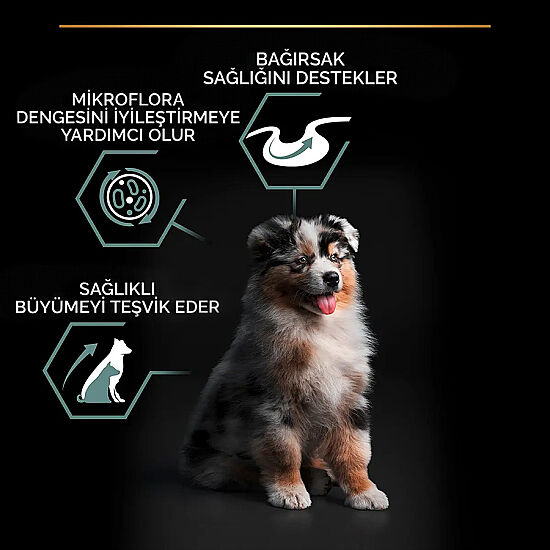 Pro Plan Medium Puppy Kuzu Yavru Köpek Maması 3 Kg + Pro Plan Konserve 400 Gr - 5