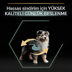 Pro Plan Medium Puppy Kuzu Yavru Köpek Maması 3 Kg + Pro Plan Konserve 400 Gr - 6
