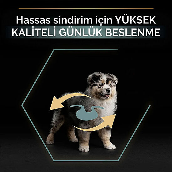 Pro Plan Medium Puppy Kuzu Yavru Köpek Maması 3 Kg + Pro Plan Konserve 400 Gr - 6