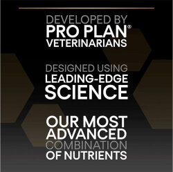 Pro Plan Medium Puppy Kuzu Yavru Köpek Maması 3 Kg x 2 Adet - 4