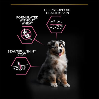 Pro Plan Medium Orta Irk Somonlu Yavru Köpek Maması 12 Kg + Wanpy Creamy Treat 5x14 Gr
