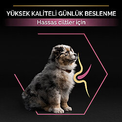 Pro Plan Medium Orta Irk Somonlu Yavru Köpek Maması 12 Kg + 3 Adet Pro Plan Konserve 400 Gr - 6