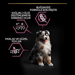 Pro Plan Medium Orta Irk Somonlu Yavru Köpek Maması 12 Kg + 3 Adet Pro Plan Konserve 400 Gr - 7