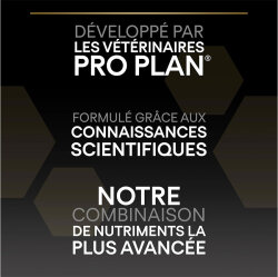 Pro Plan Mini Lamb Kuzulu Küçük Irk Köpek Maması 7 Kg + 3 Adet Pro Plan 400 Gr Konserve - 6