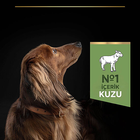 Pro Plan Mini Lamb Kuzulu Küçük Irk Köpek Maması 7 Kg + 3 Adet Pro Plan Konserve 400 Gr - 3