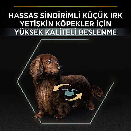 Pro Plan Mini Lamb Kuzulu Küçük Irk Köpek Maması 7 Kg + 3 Adet Pro Plan Konserve 400 Gr - 4