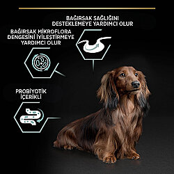 Pro Plan Mini Lamb Kuzulu Küçük Irk Köpek Maması 7 Kg + 3 Adet Pro Plan Konserve 400 Gr - 5