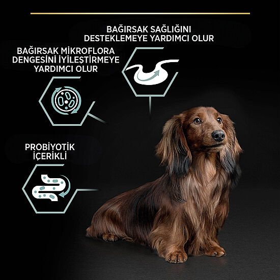 Pro Plan Mini Lamb Kuzulu Küçük Irk Köpek Maması 7 Kg + 3 Adet Pro Plan Konserve 400 Gr - 5