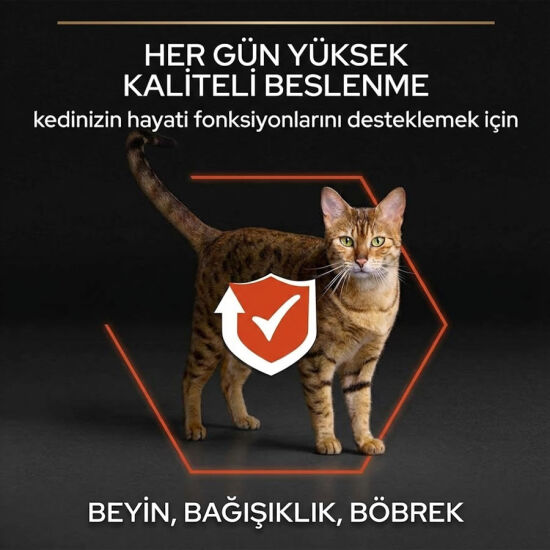 Pro Plan Somonlu Kedi Maması 1,5 Kg + Wooc Lolipop Ödül - 3