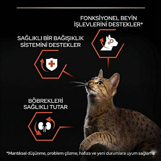 Pro Plan Somonlu Kedi Maması 1,5 Kg + Felix Soup Time Çorba - 4