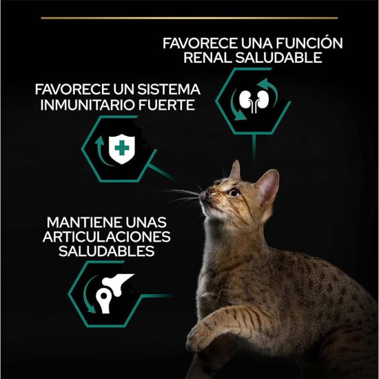 Pro Plan Tavuk Etli Kedi Maması 10 Kg + Everclean 10 Lt Kedi Kumu - 4