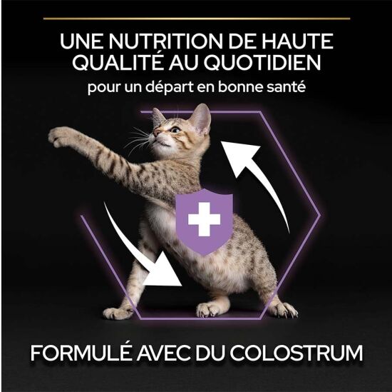 Pro Plan Kitten Tavuk Etli Yavru Kedi Maması 1,5 Kg + Pro Plan 85 Gr Yaş Mama - 4