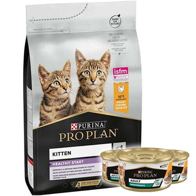 Pro Plan Kitten Tavuk Etli Yavru Kedi Maması 3 Kg + 3 Adet Pro Plan 85 Gr Yaş Mama