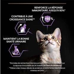 Pro Plan Kitten Tavuk Etli Yavru Kedi Maması 3 Kg + 3 Adet Pro Plan 85 Gr Yaş Mama - 3