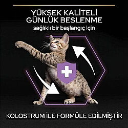 Pro Plan Kitten Tavuk Etli Yavru Kedi Maması 3 Kg + 2 Adet Gourmet Çorba - 3