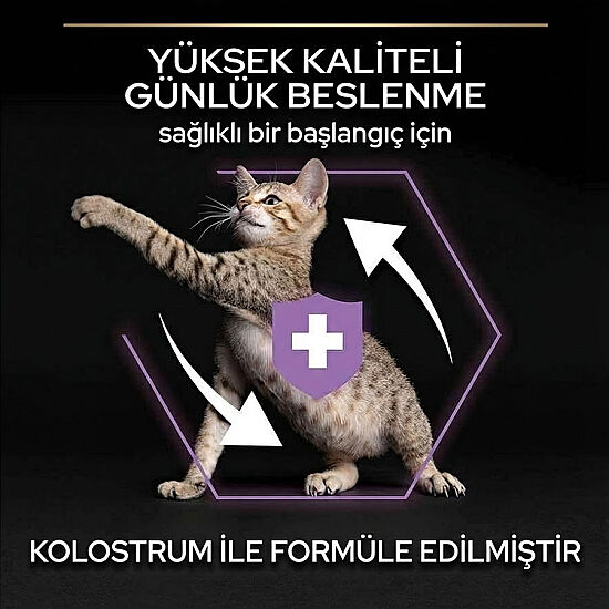Pro Plan Kitten Tavuk Etli Yavru Kedi Maması 3 Kg + 2 Adet Gourmet Çorba - 3
