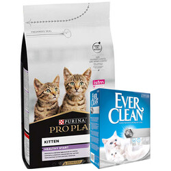 Pro Plan - Pro Plan Kitten Yavru Kedi Maması 10 Kg + Everclean 10 Lt Kedi Kumu