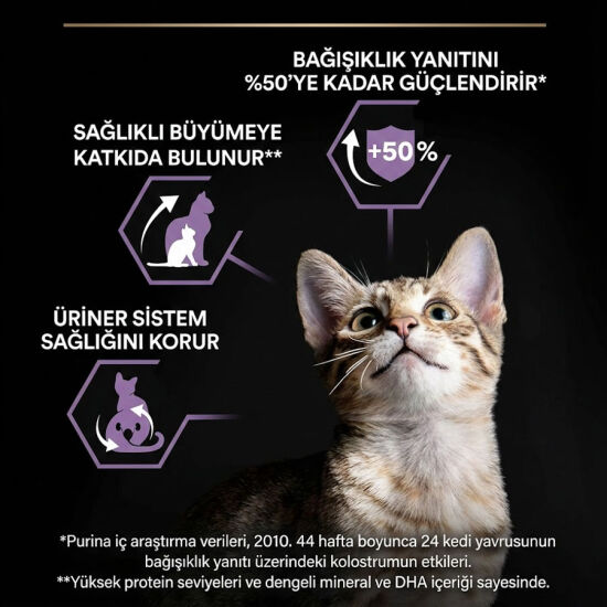 Pro Plan Kitten Yavru Kedi Maması 10 Kg + Pro Plan Yaş Mama 85 Gr x 10 Adet - 4