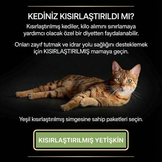 Pro Plan Longevis Senior +7 Somonlu Kedi Maması 3 Kg + 3 Adet Pro Plan Konserve 85 Gr - 5