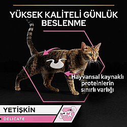 Pro Plan Pouch Delicate Sos İçinde Okyanus Balıklı Kedi Yaş Maması 85 Gr x 26 Adet - 4