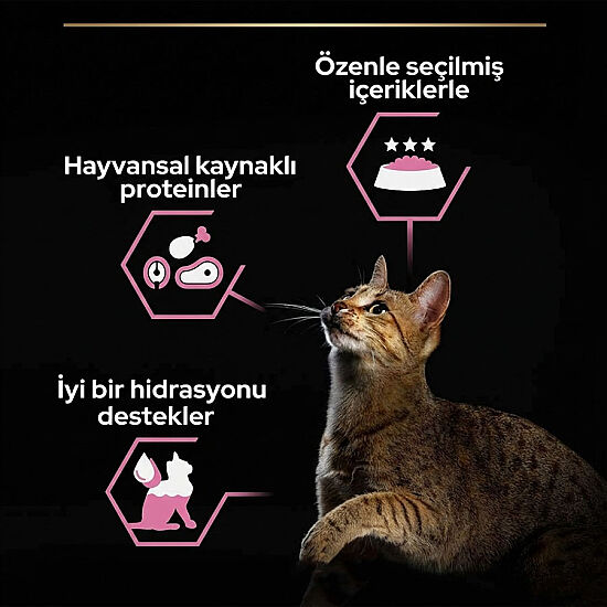 Pro Plan Pouch Delicate Sos İçinde Okyanus Balıklı Kedi Yaş Maması 85 Gr x 26 Adet - 5